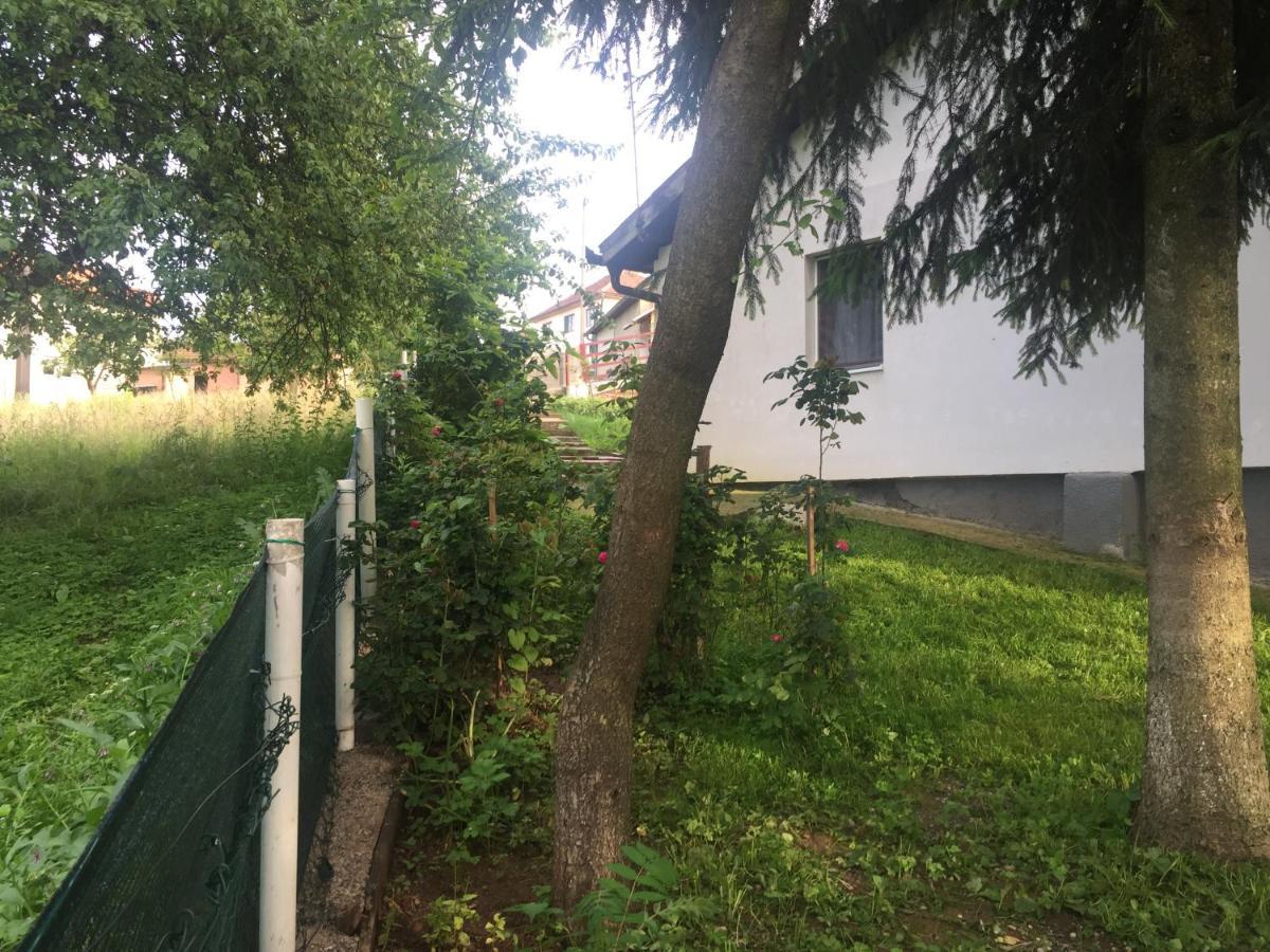 Appartement Dolores *